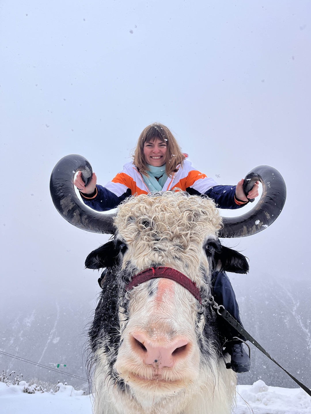Домбай - место силы. Путешествие в мини-группе (Марина)