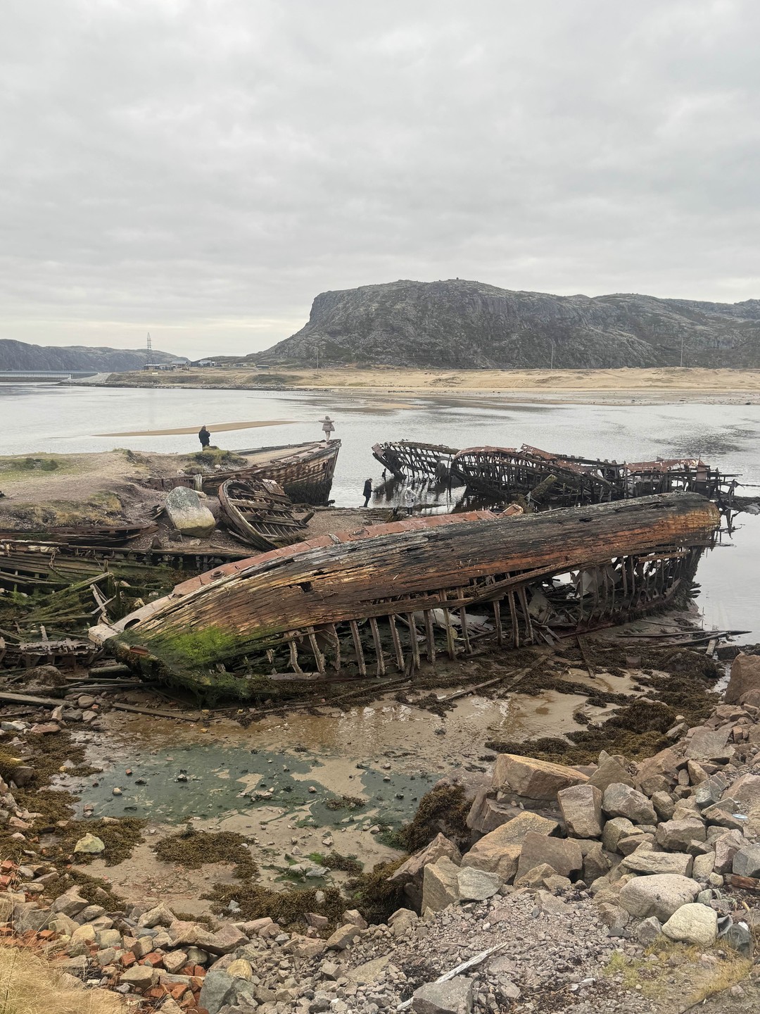 Красоты Териберки и выход в море на поиски китов (Елена)