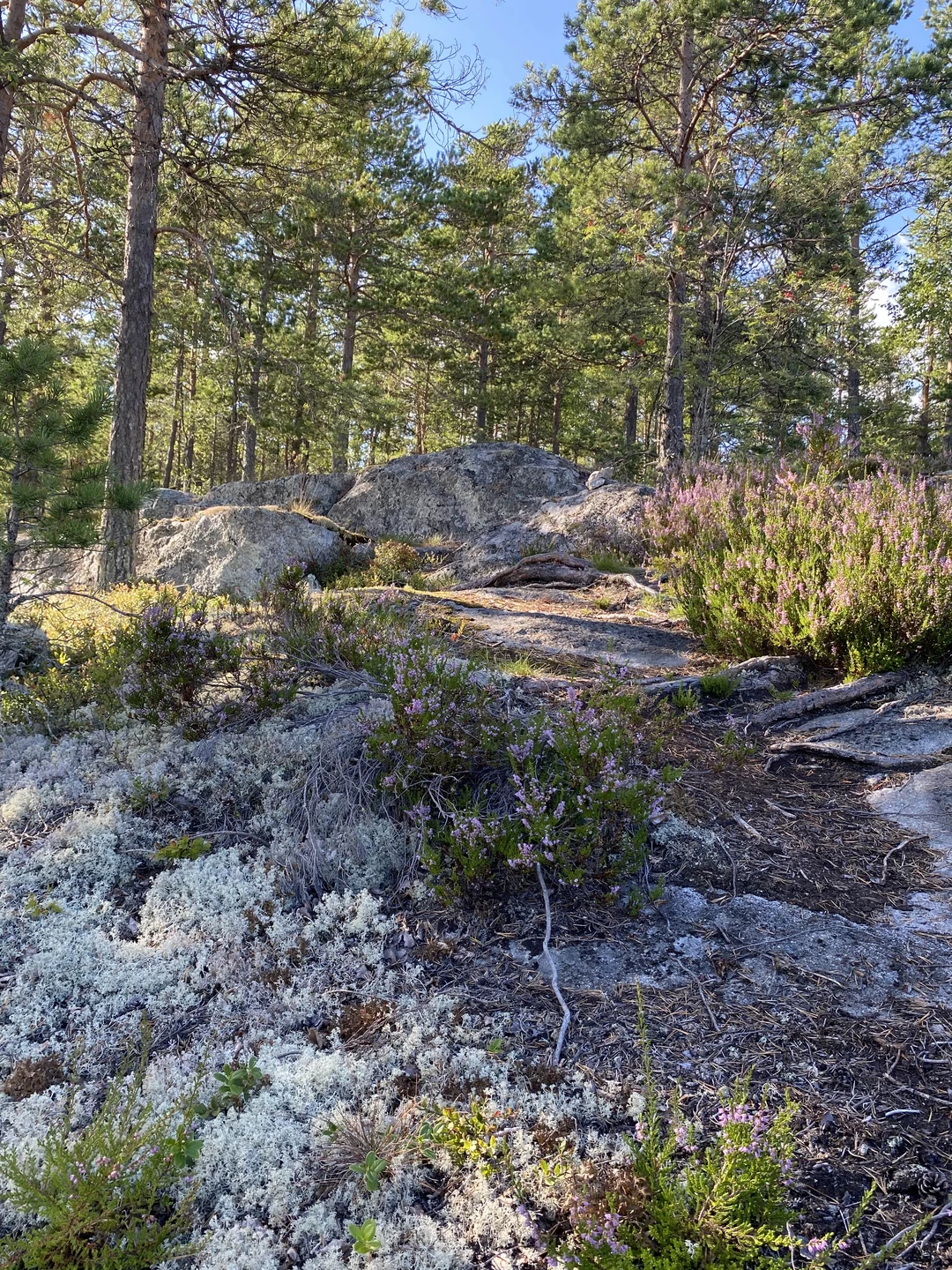 Ездила на экскурсию по местам силы, все очень понравилось ☺️ была первый раз в Карелии и