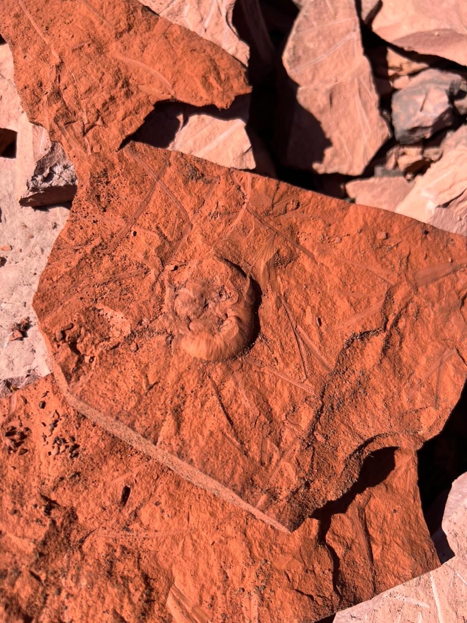 Добрый день. Была в Чите в командировке с коллегой и решили ознакомиться с городом и его