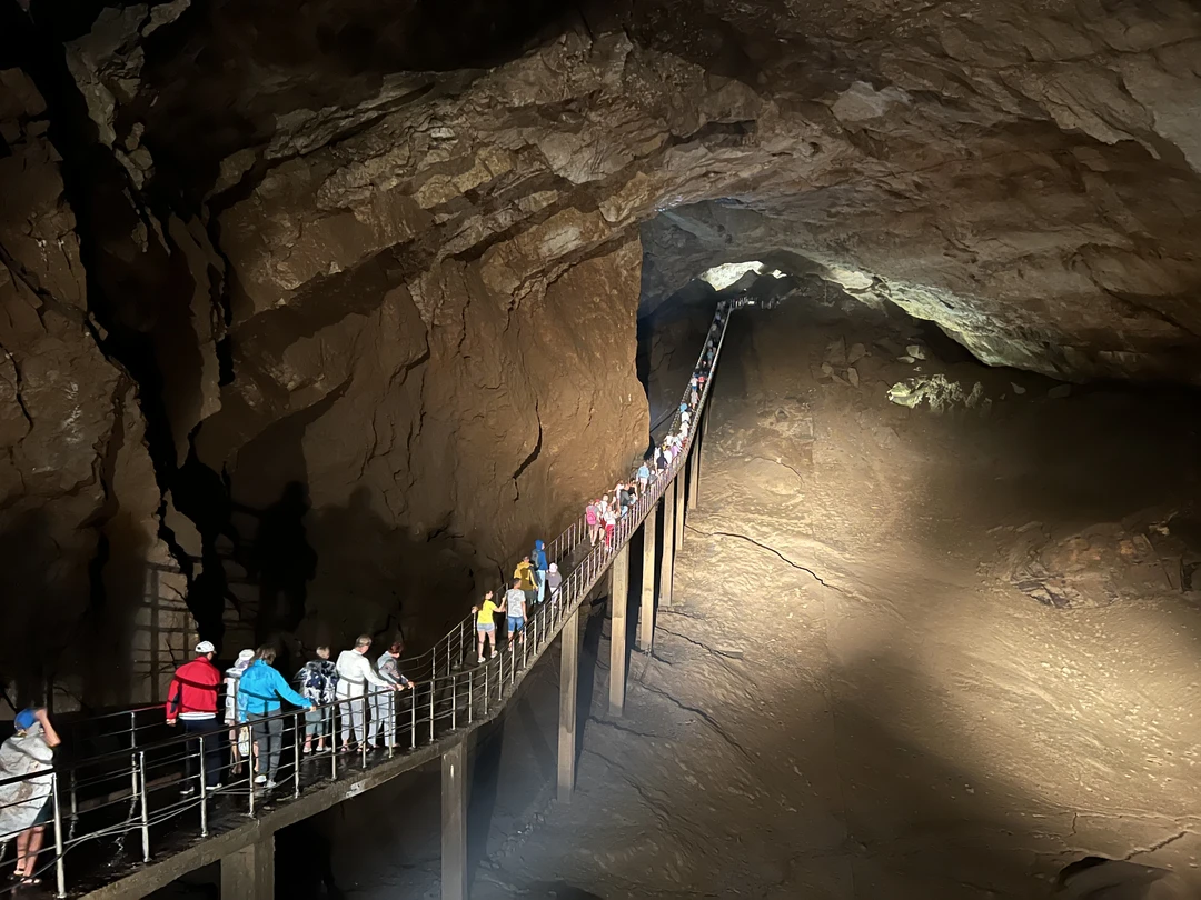 Экскурсия понравилась. Поездка была комфортной. История и жизнь сочетались органично. Спасибо Денису!