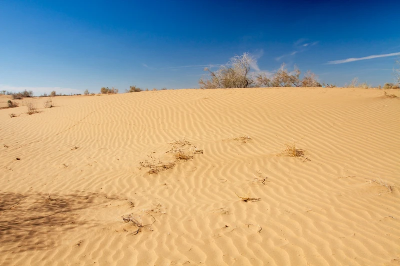 Сказочный зимний Узбекистан: Ташкент, Самарканд, Бухара и Хива