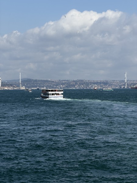 отлично❤️ было интересно и ярко