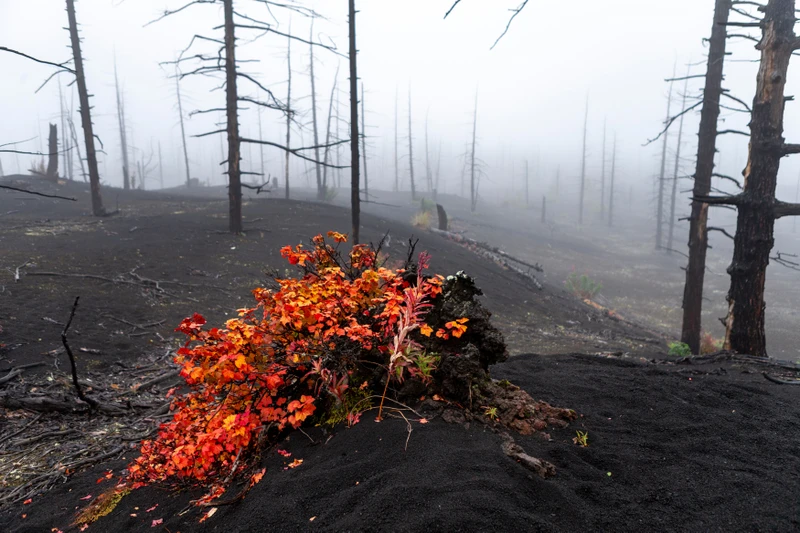 Туда, где горы дышат огнём: сплав, восхождение, глэмпинг и джипинг в мини-группе (всё включено)