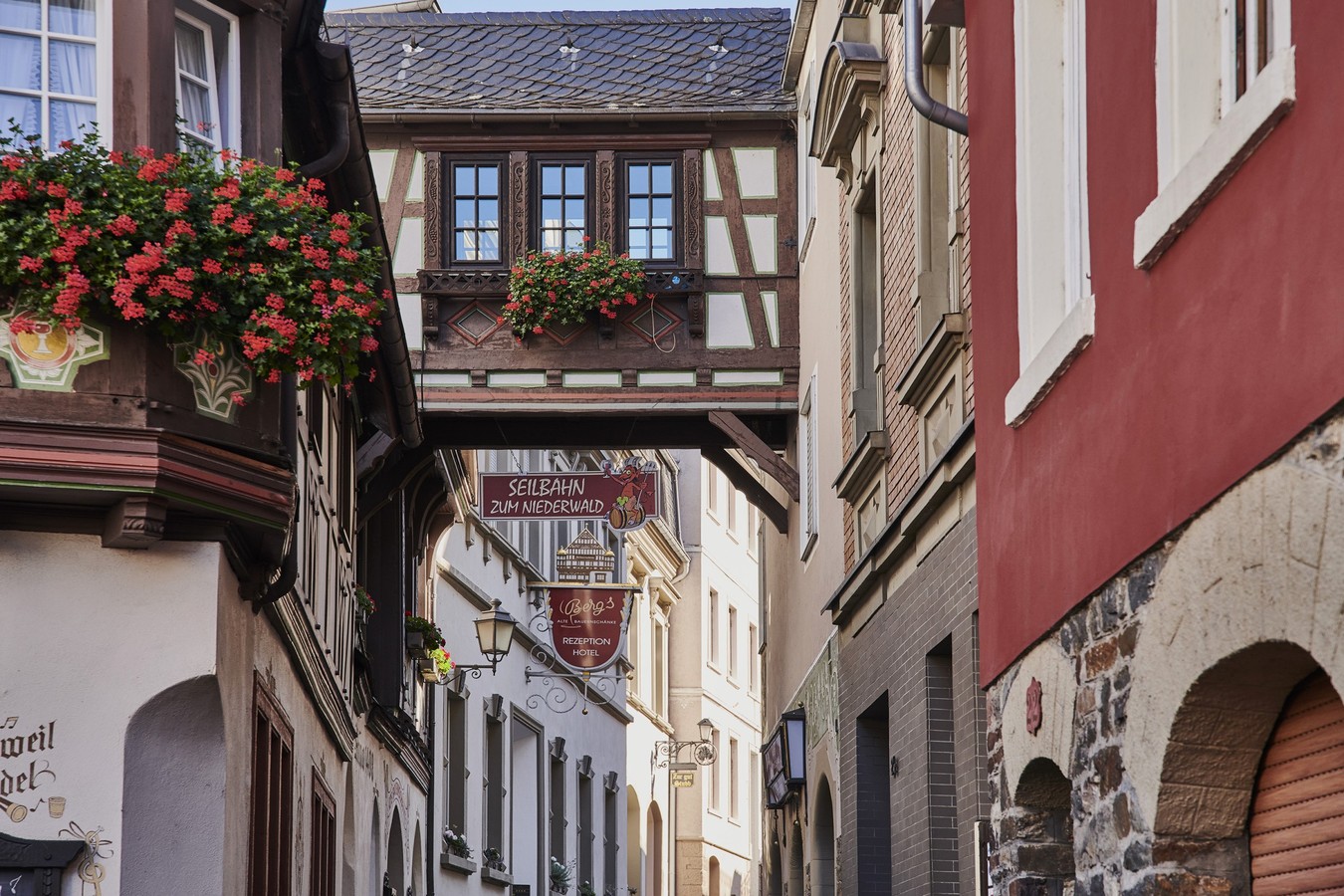 Главное изображение экскурсии - Рюдесхайм — живописный уголок в долине Рейна