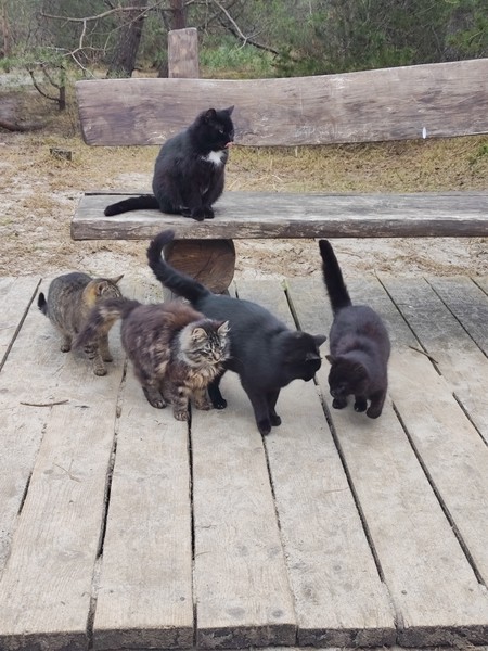 Отличная поездка с историями и фактами, достаточно времени для свободного отдыха, вкуснейшего обеда с видом на