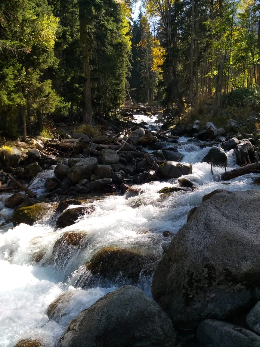Вернулись из поездки на Домбай с Исламом и это было великолепно! Аккуратный водитель, интересный рассказчик и