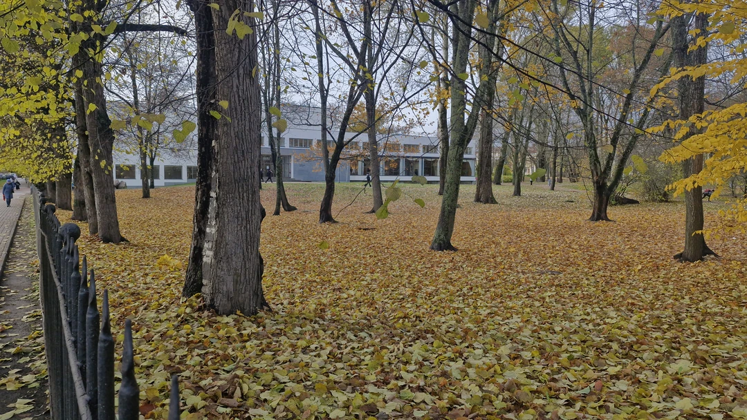 Выборг в компании художника (Александр)