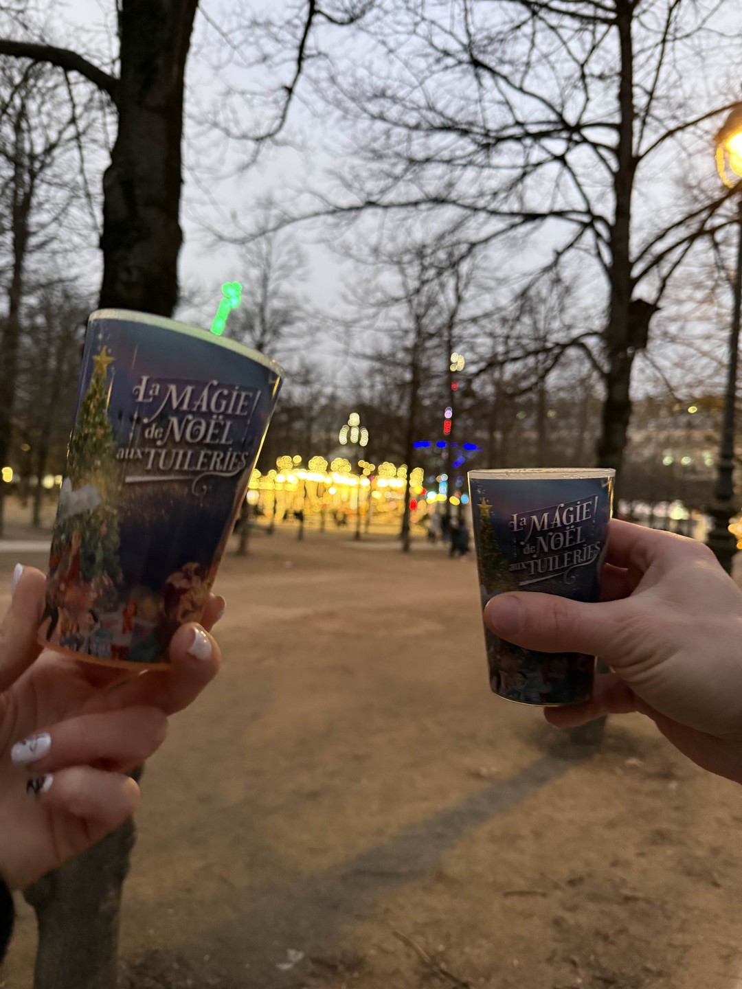 Прогулялись по Новогоднему Парижу, сделали замечательные фотографии, узнали историю города в легкой и доступной форме, зашли