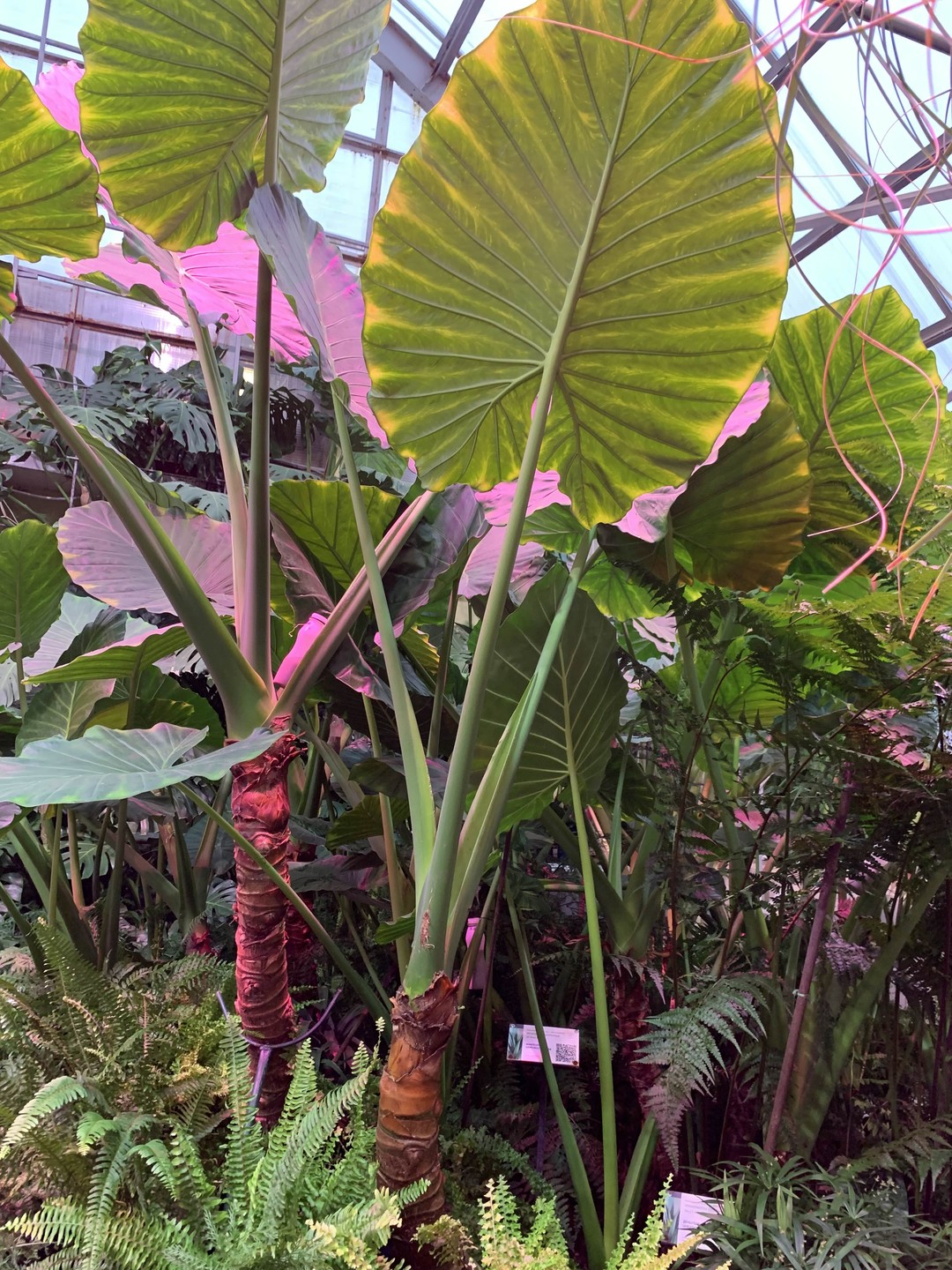 Величественные Хибины и Кировск за один день (Мария)