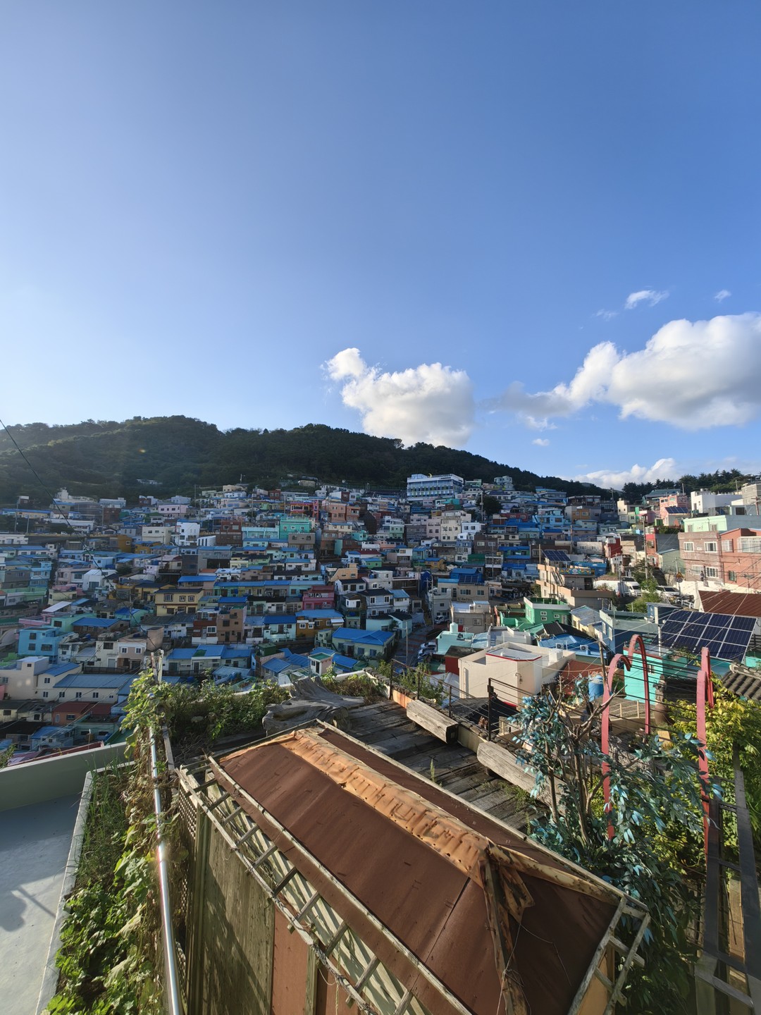 Отличная экскурсия для тех, кто хочет посмотреть Пусан за 1 день и ограничен во времени. Ездили