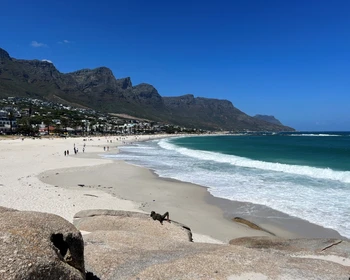 Свободное время и прощальный пикник у океана