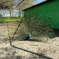 Фото отзыва 3: экскурсия "Незабываемая Верхняя Балкария: поездка из Кисловодска в мини-группе"