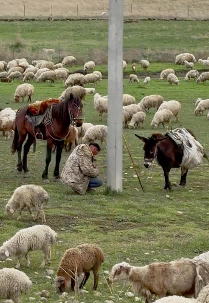 По пустыне Удабно - к Радужным горам и комплексу Давид-Гареджи (Мария)