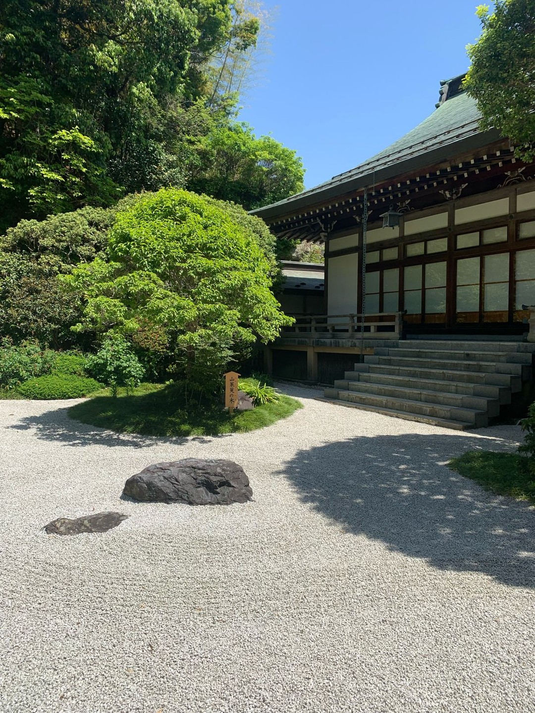 Незабываемая Камакура!!! Благодарим Аэлиту за этот чудесный день, за содержательную экскурсию, за теплое общение. Очень понравилось!