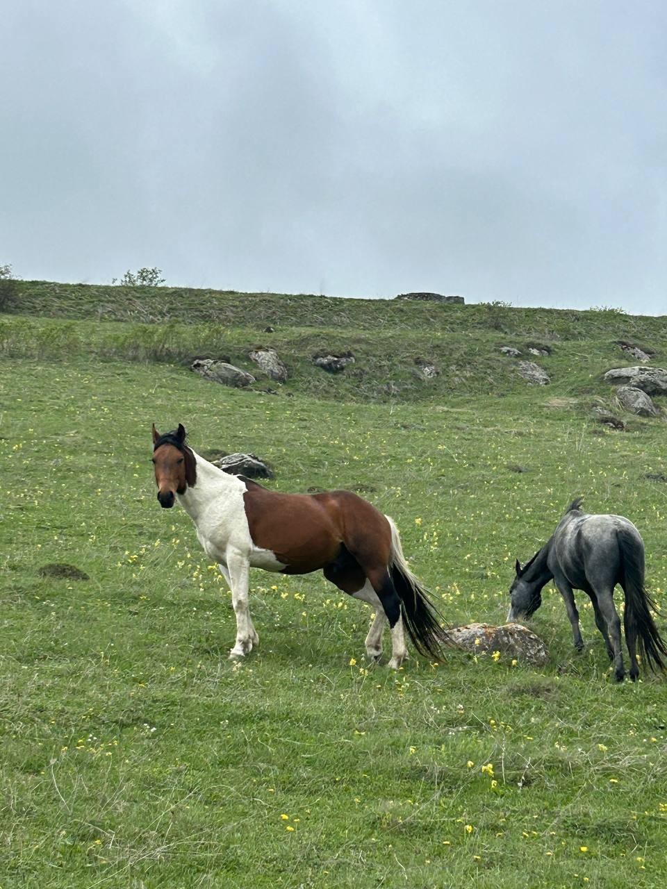 Были с женой на экскурсии! Гид Марат показал Осетию во всей красе!