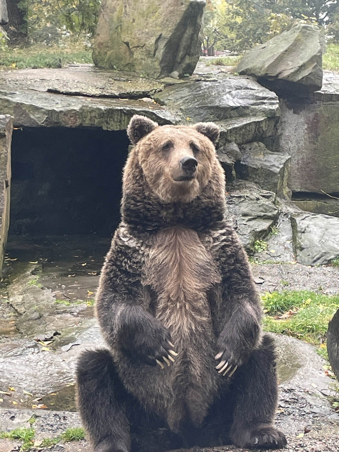 Экскурсия очень понравилась, мы были с маленьким ребенком (3,5 годика). Программа интересная, маршрут продуманный. Много интересных
