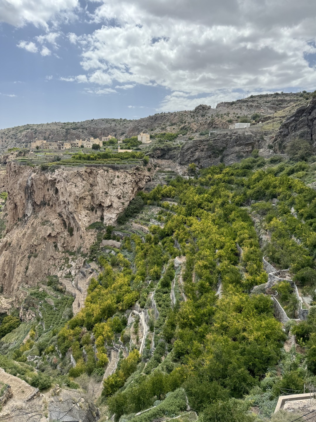 Посетили экскурсию город Низва и гора Джабель. Удивительная экскурсия, необыкновенные виды, производство розовой воды, потрясающая крепость