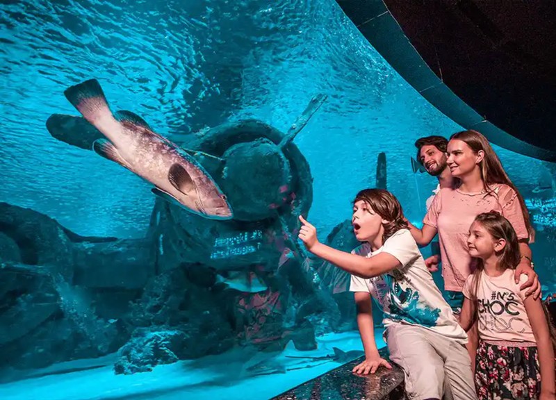 Поездка в океанариум Антальи - приключение для всей семьи