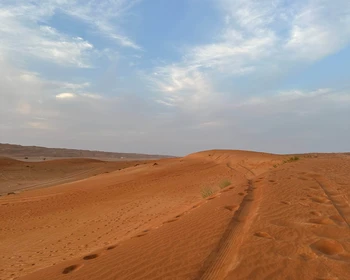 Оазис Вади Бани Халид и пустыня Вахиба, сафари по барханам