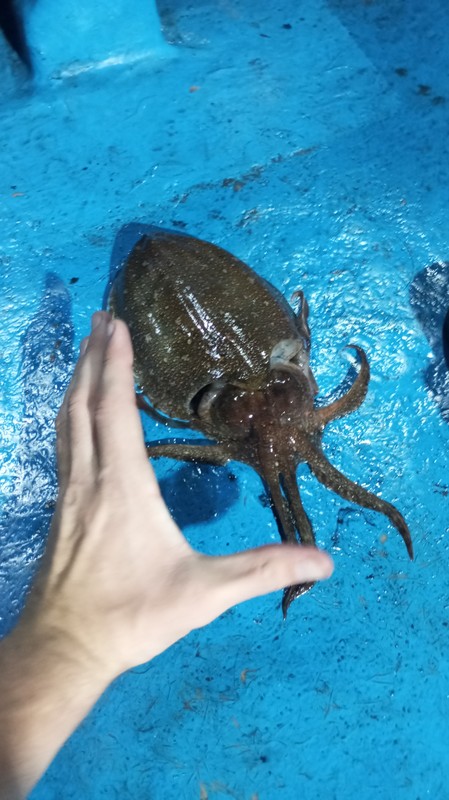 Ловля кальмара с потомственными моряками