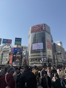 Фото отзыва 3: экскурсия ""