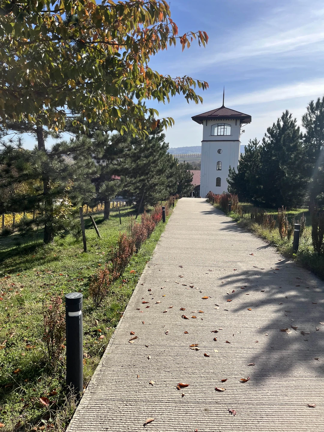 Наталья передала нас Наталье М, с которой мы отлично провели день