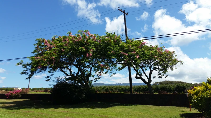 Каньон Ваймеа и южное побережье острова Кауаи