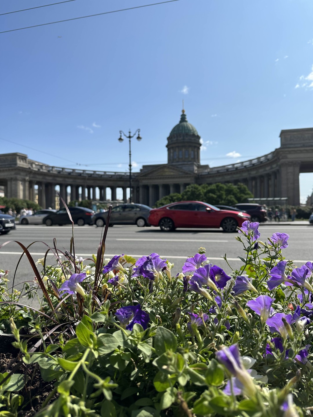 Мы в Санкт-Петербурге не первый раз, посещали много знаковых мест, но каждый раз узнаем много нового!