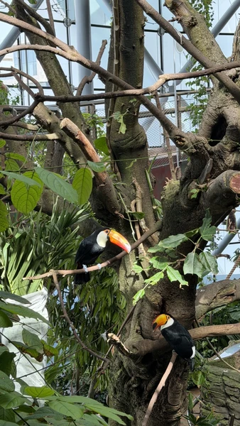 Большое спасибо Ислому и Фаролу! Боала две экскурсии, которые прошли замечательно! Я ОЧЕНЬ довольна! Увидела всё