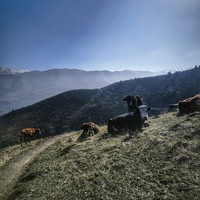Отзыв о экскурсии "Парк Ала-Арча и горные ущелья за 1 день" — фото 4