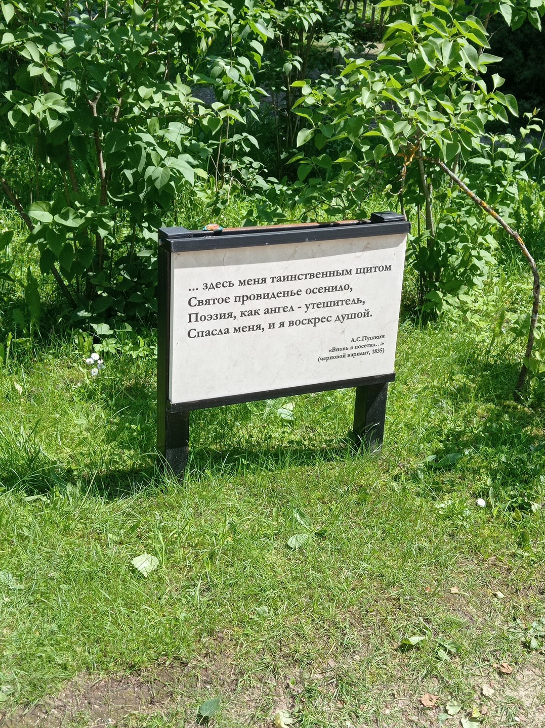 14.06.25г посетили прекрасную экскурсию в Пушкинские горы с замечательным экскурсоводом Коеоваловой Юлией! Очень интересно, познавательно, глубокие