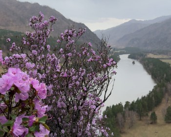 Конная прогулка, треккинг, пасека и «Зубы Дракона»