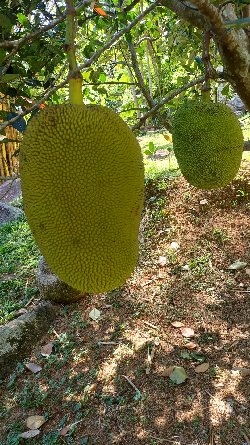 Огромное спасибо Екатерине за позновательную и увлекательную экскурсию. За день мы узнали много интересного о местном