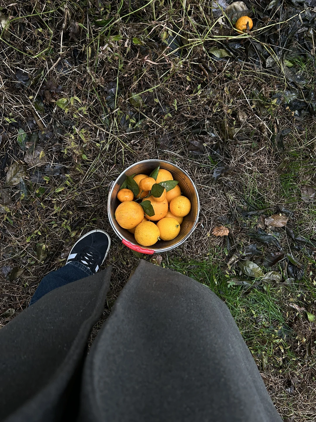 Кухня деревни Чаисубани (из Батуми) (Наталья)