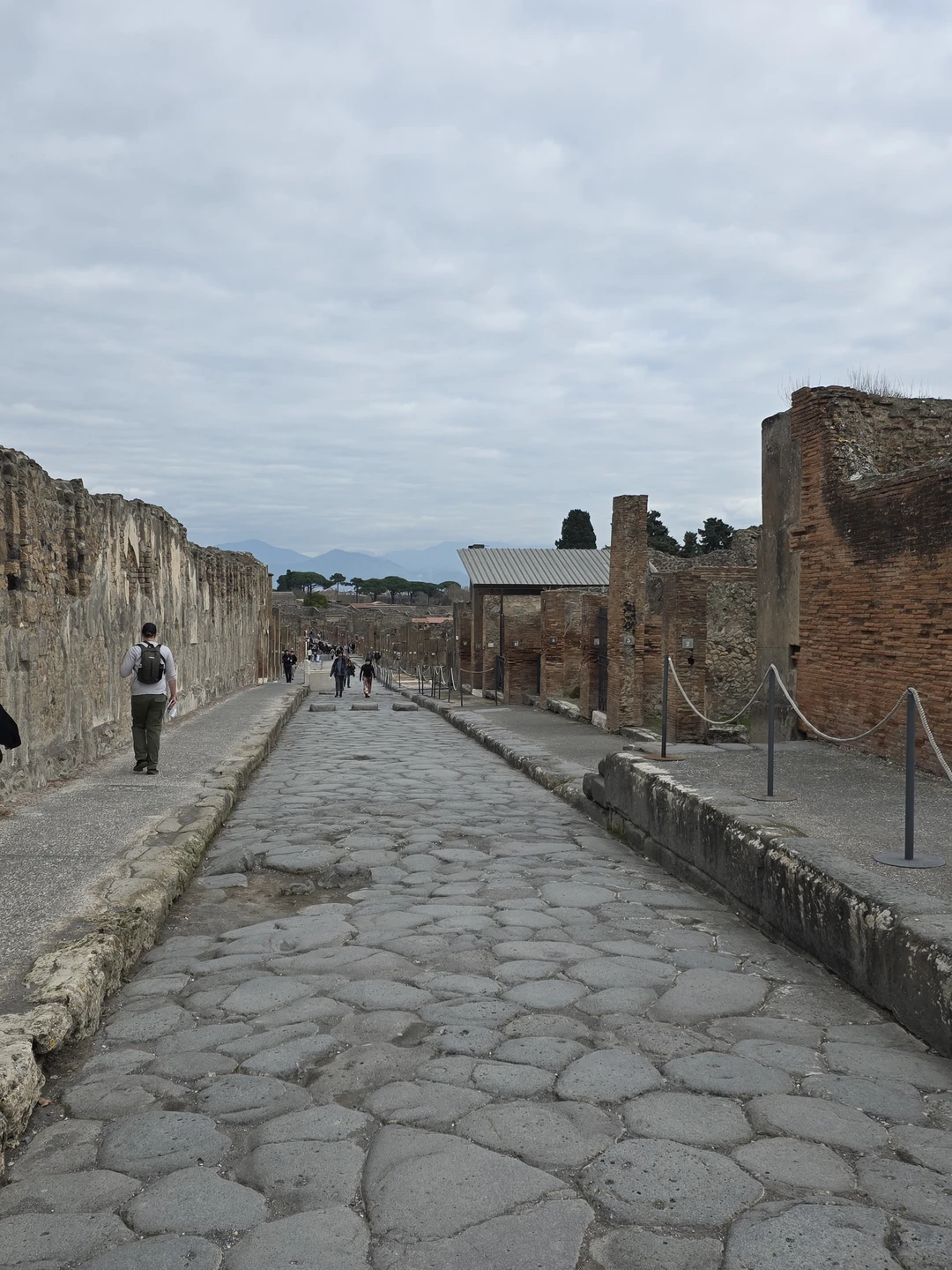 Оказались на несколько дней семьёй в Неаполе. Был один день на экскурсию. Всем хотелось увидеть и