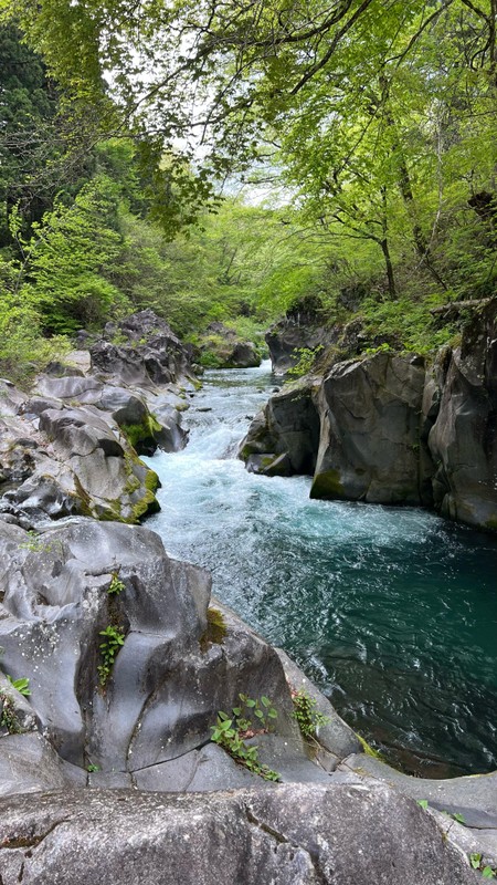 Из Токио - в прекрасное горное Никко