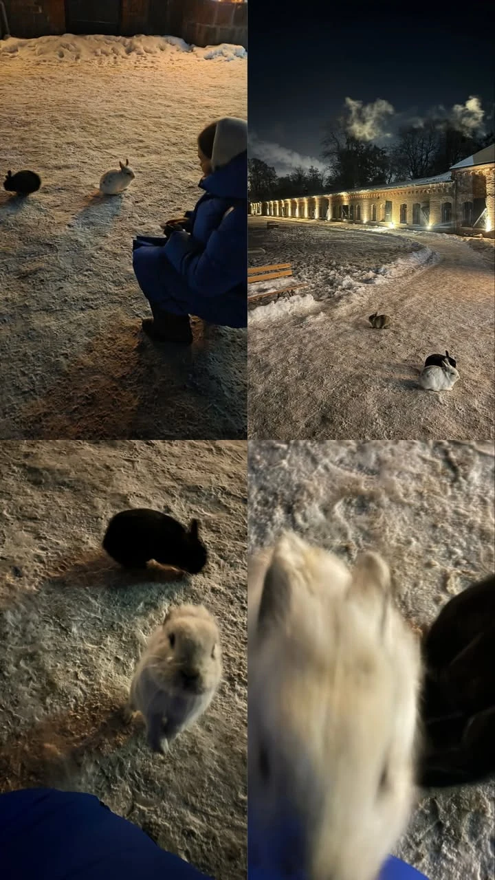 Отличная экскурсия, Денис - любитель своего дела, хорошо давно занимается подобными экскурсиями и хорошо рассказывает историю