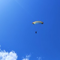 reviews img