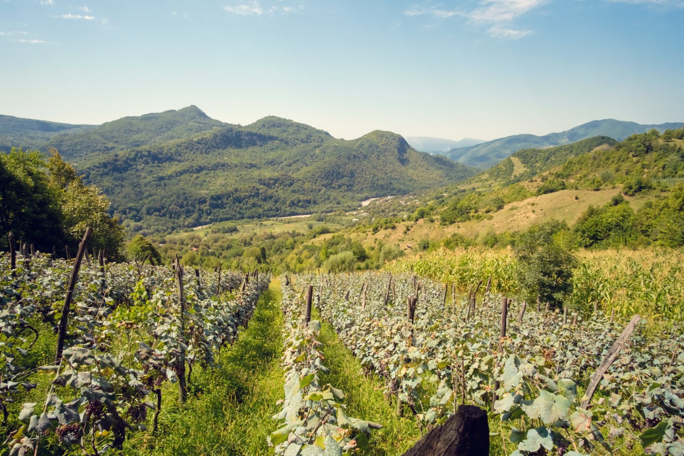 В краю орлов и крутых скал. За легендарным вином Усахелаури