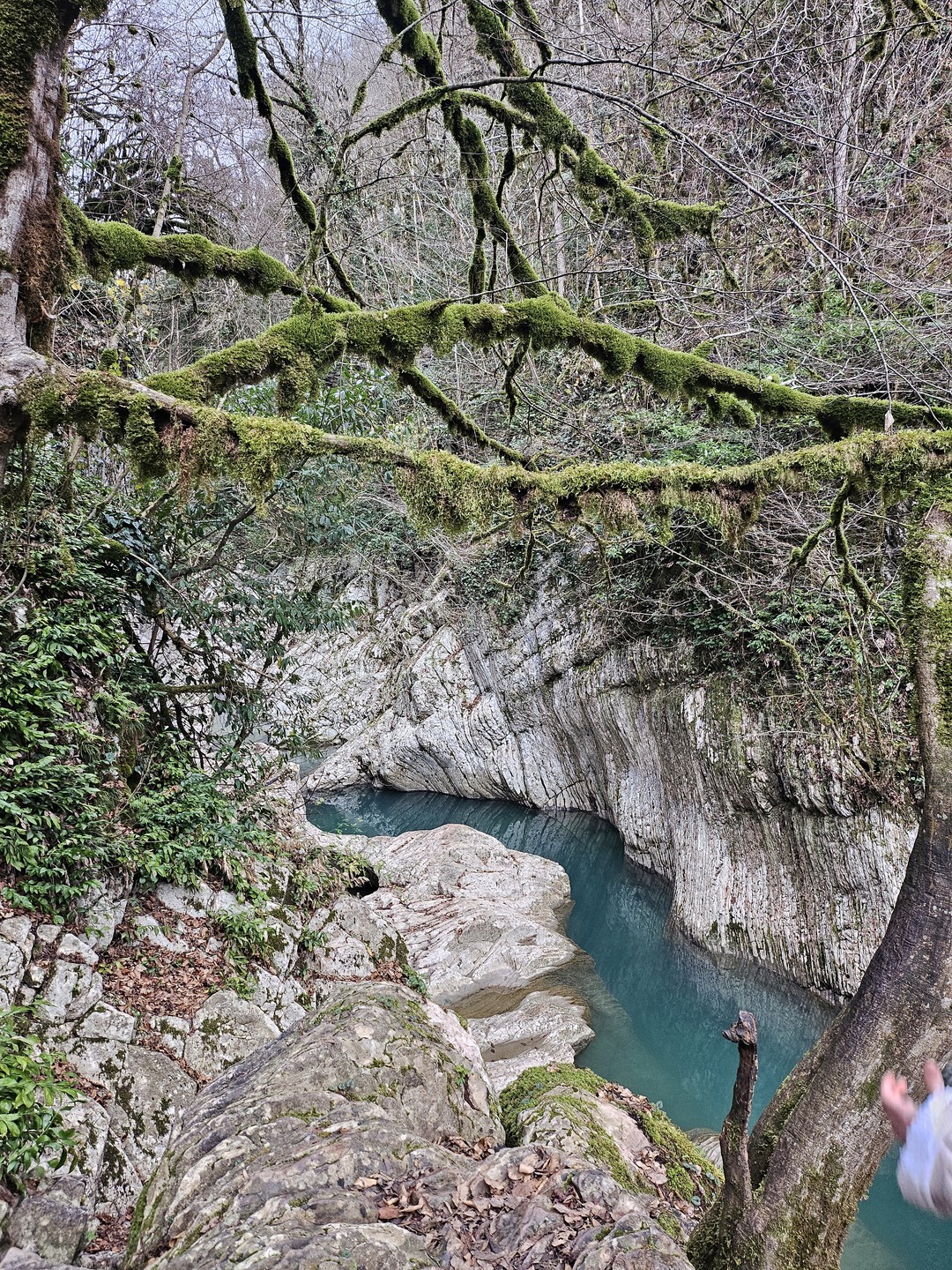 Мастер-класс очень понравился! Нас забрали от отеля, довезли до чайных плантаций и там спокойно и не