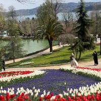 Фото отзыва 1: экскурсия "Стамбул: прогулка по древнему району Эйюп"