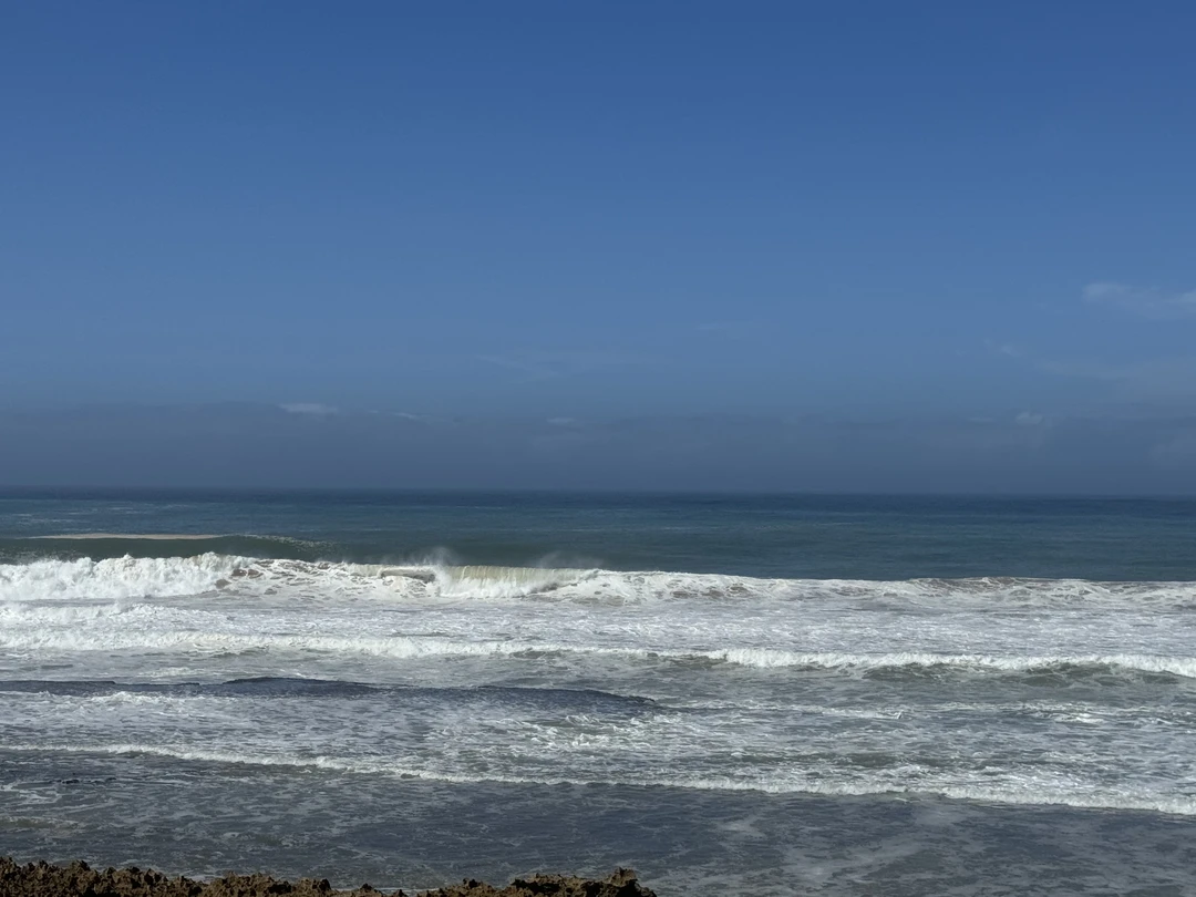 Секретная устричная ферма под Касабланкой (Елена)