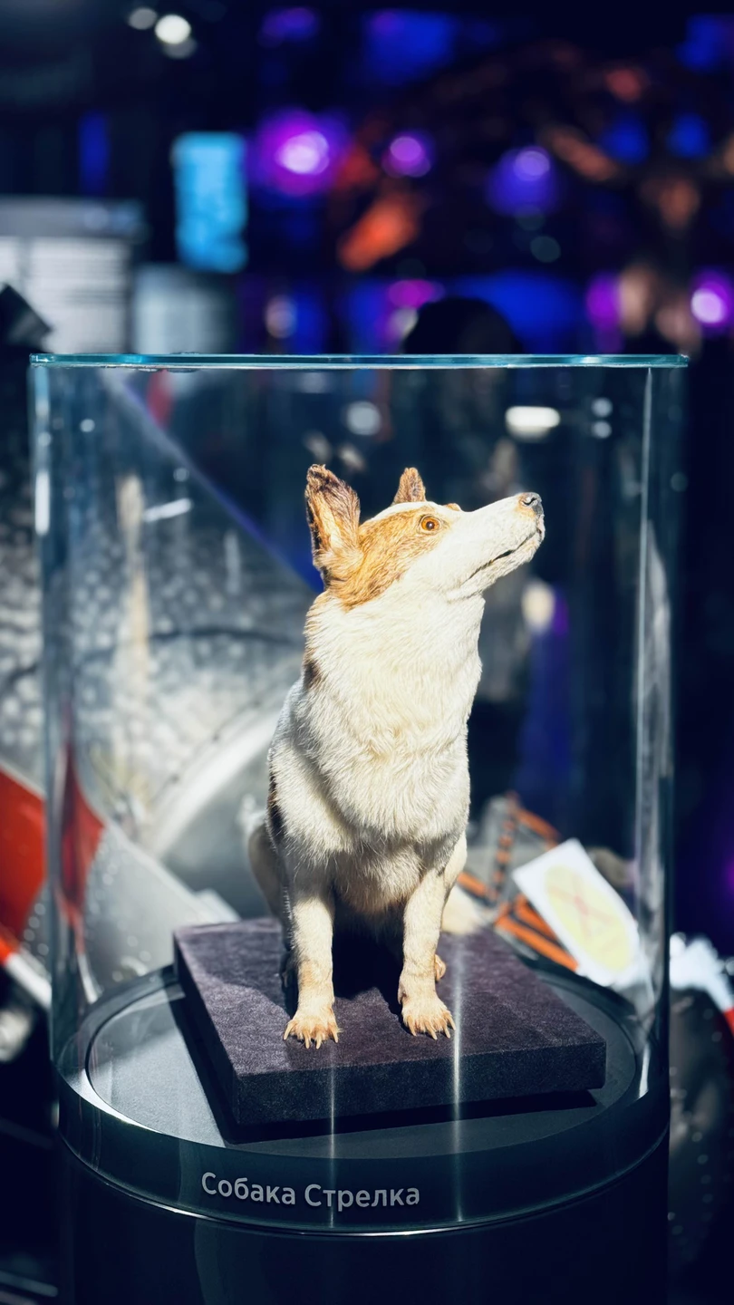 Музей хороший. Есть интересные экспонаты. Для интересующихся космосом, не лишним будет посетить