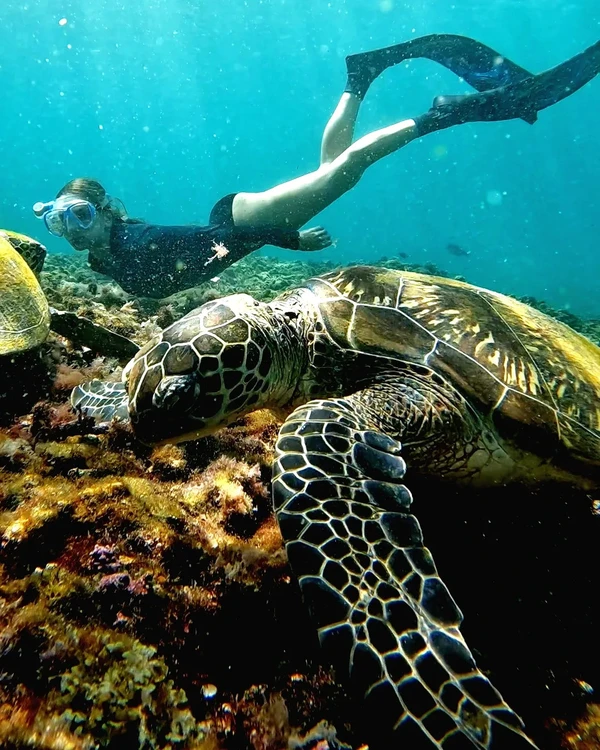 Фото отзыва 2: авторский тур "Индивидуальный джип-тур по Оману с водными активностями, каньонингом и виа феррата"