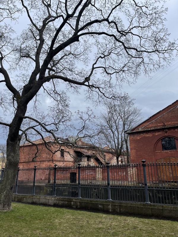 Виды Кронштадт в мини-группе на комфортабельном автомобиле