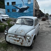 Фото отзыва 2: экскурсия "Териберка за 1 день: посёлок, китовое сафари и дегустация морепродуктов"