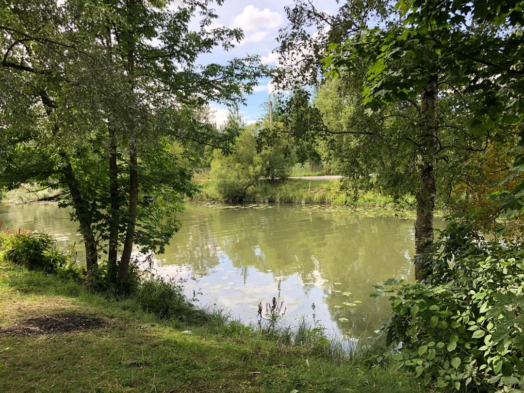 Экскурсия по прекрасной Стрельне (Анна)