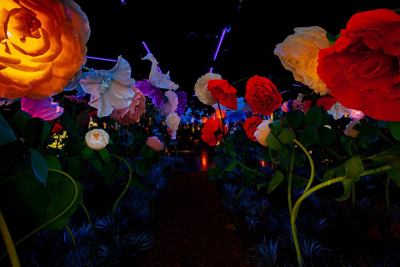 Билет в интерактивный парк развлечений Magic Park
