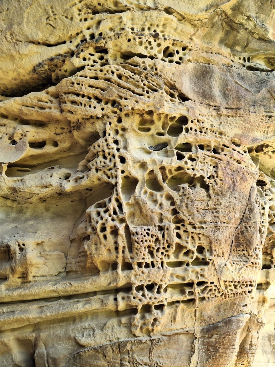 15 октября 2025г. мы едем на Домбай. Наш водитель, он же гид, Василий. По дороге к